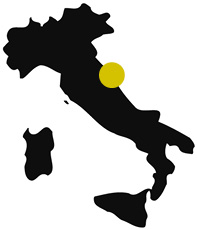 Neomec _ Contatto Dove siamo Italia
